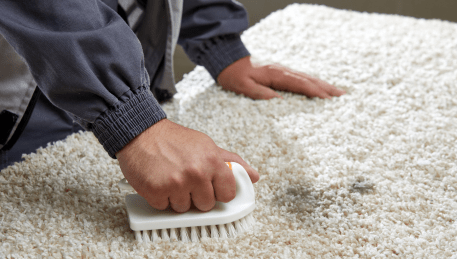 Professional Rug Cleaning Beaconsfield Upper